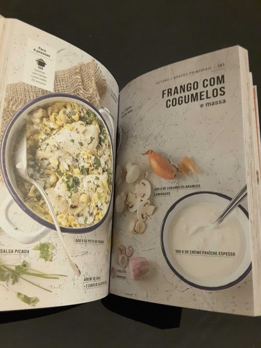 100 Receitas Sem Receitas / Cozinha Vegetariana Fácil