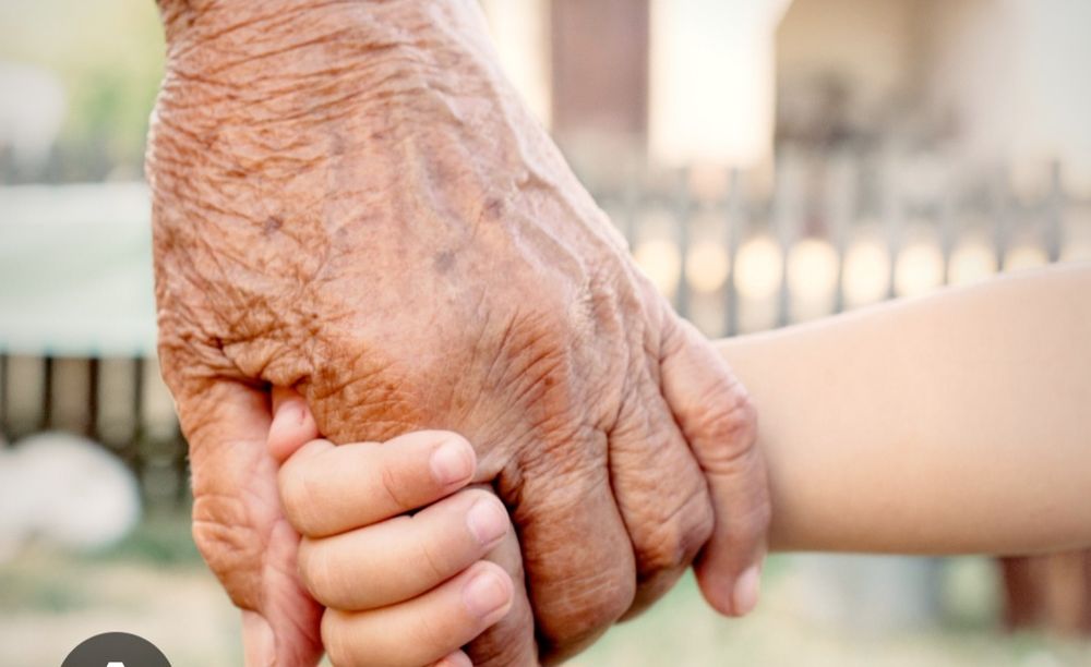 Apoio e acompanhamento a idosos