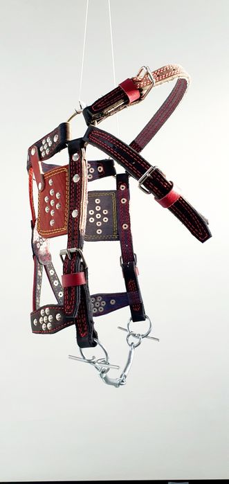 Амуніція для коня, наголовник з шорками, шкіряний, регульований.