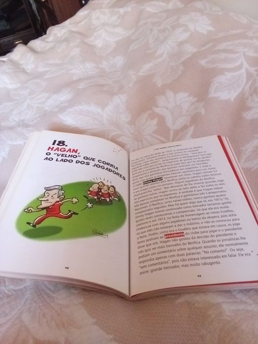Vendo um lindo livro do Benfica que conta a história do clube
