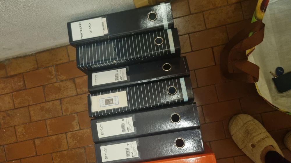 Dossiers lombada larga várias cores