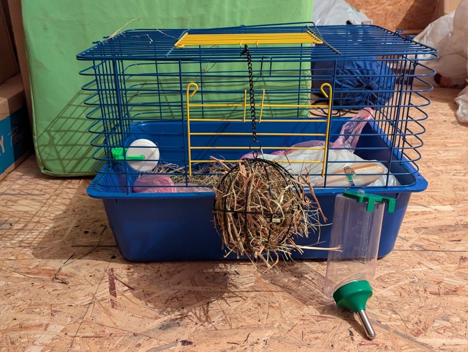 клітка для кролика