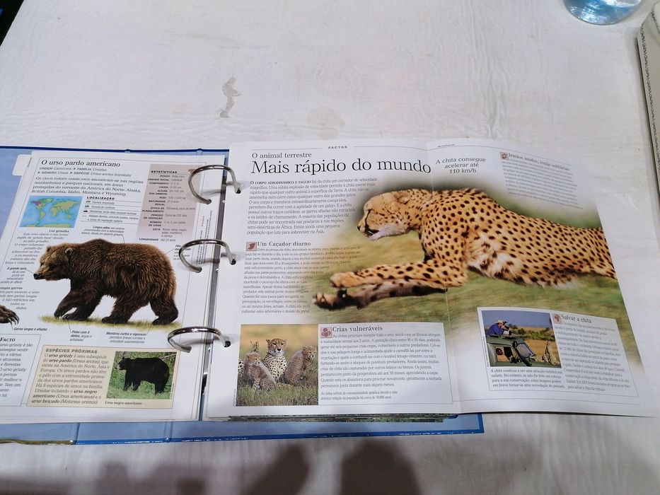 Colecção sobre o mundo animal incompleta