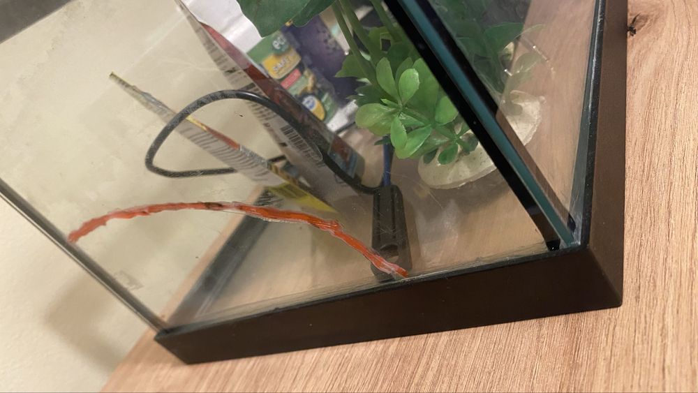 Aquario + Acessórios