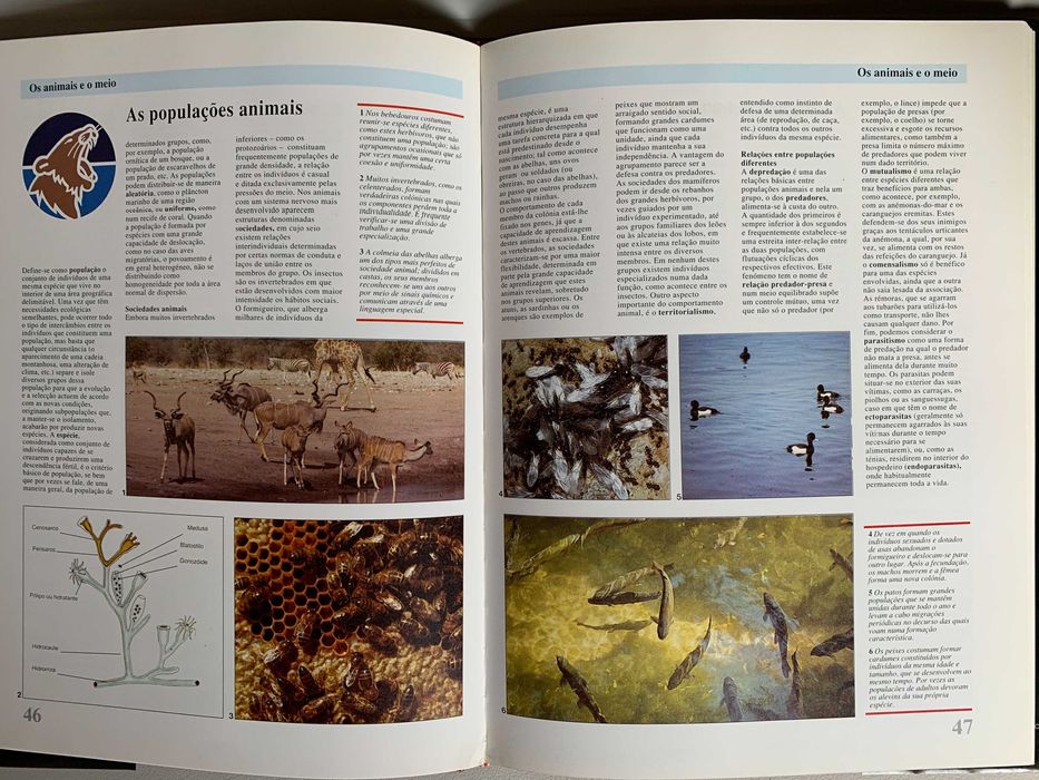 Grande Enciclopédia das Ciências: Zoologia