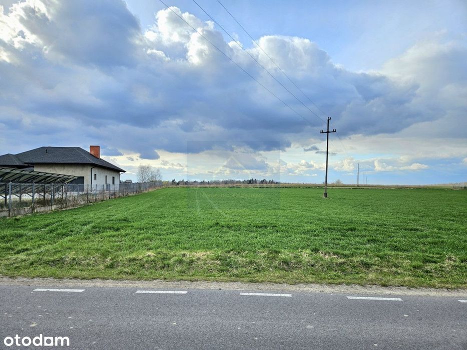 Duża działka budowlana w Kucharach - Widok 2