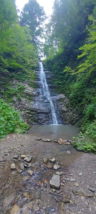Перевезення пасажирів 8- 9місць вантажне перевезиння