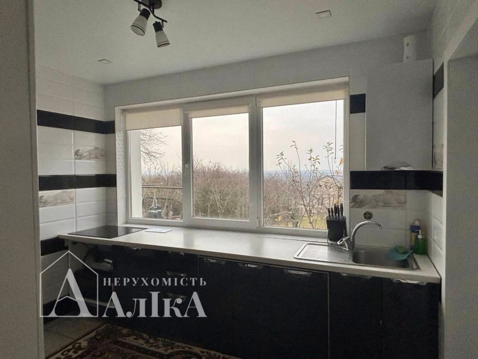 Продам будинок на березі річки Дністер