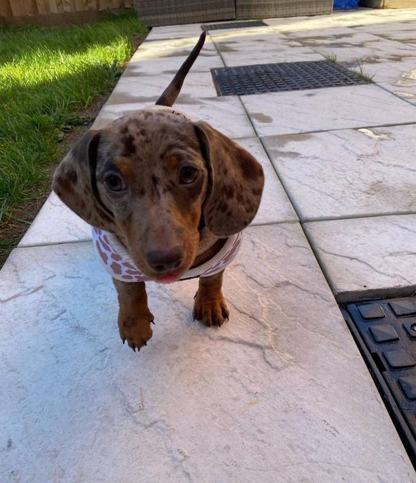 Продається мраморна дівчинка