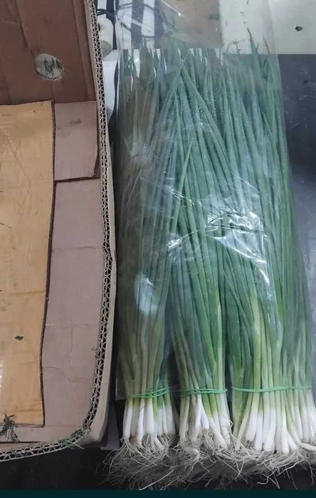 Продам зелень, петрушка ,кріп, лук