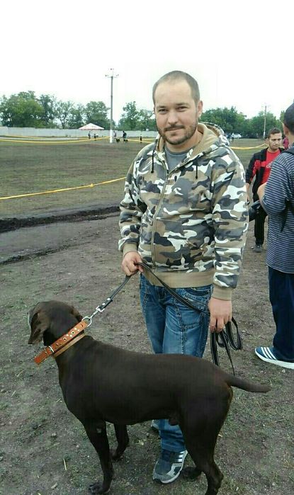 Курцхар, проверенный охотой, приглашат на вязку