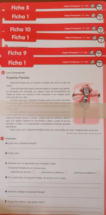 Material didático 1.° Ciclo fichas e soluções