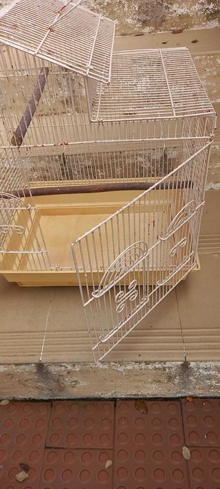 Gaiola clássica com pé