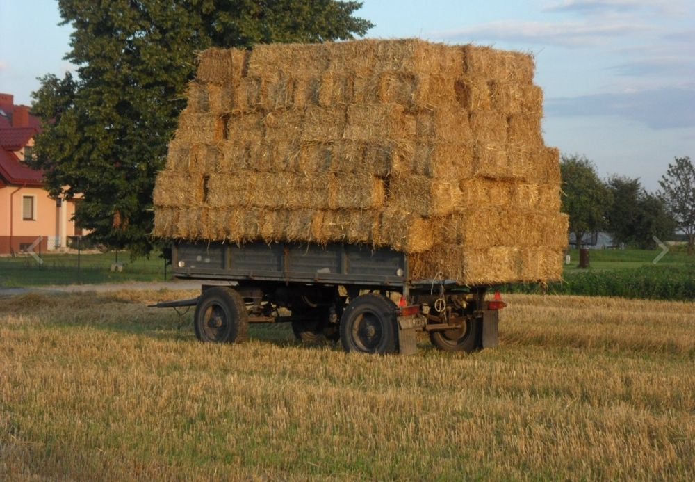 Słoma kostka wyściółka słomiana