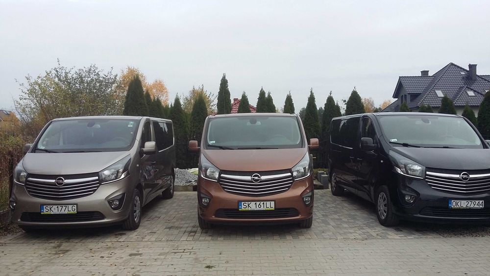 Wynajem busów 9-osobowych-automaty z 2025 roku. Dowóz na i z lotniska.