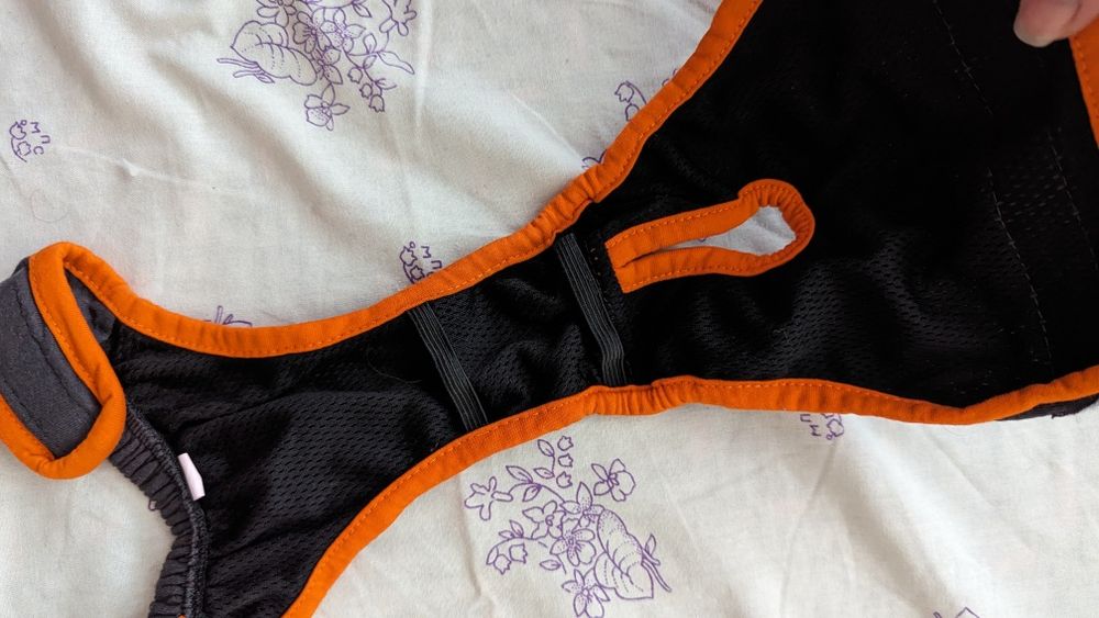 Труси для суки під час тічки