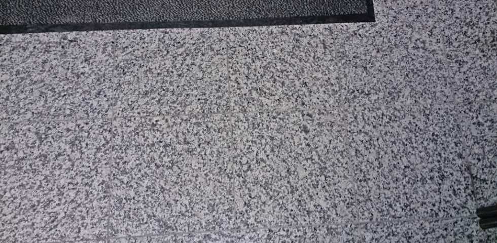 GRANIT G602 Bianco Sardo | polerowane płyty | 60x60x2cm