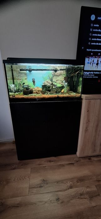 Akwarium 112 l z rybkami pompką i półką. Zestaw.