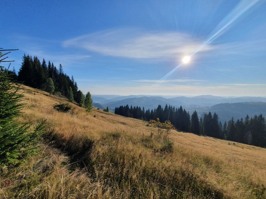 Котеджі в Карпатах