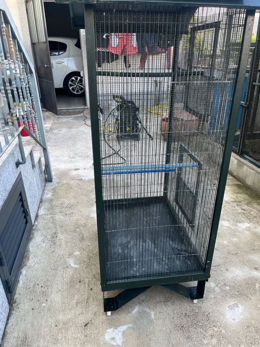 Gaiola para vender em bom estado