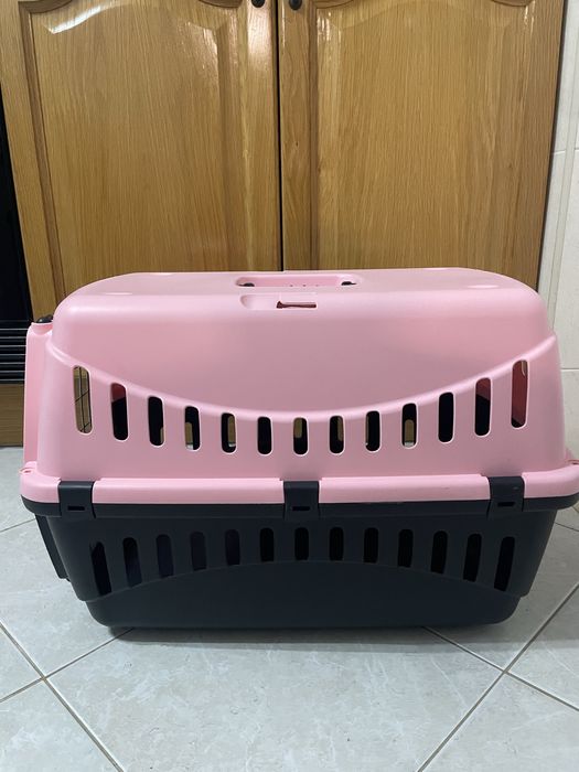 Caixa de transporte cao