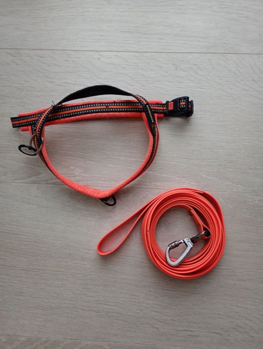 Повідок і шлея для собак