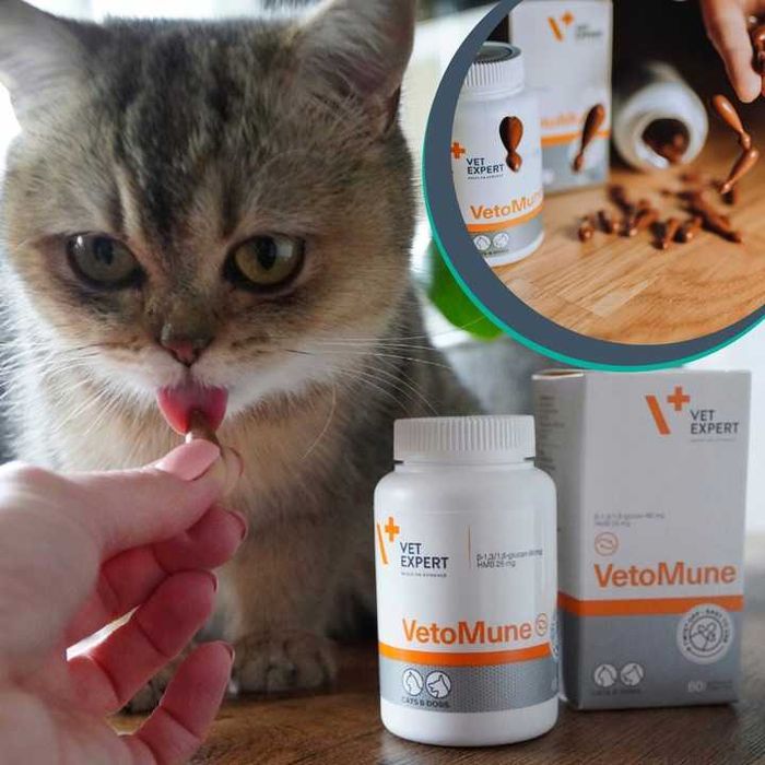 Suplement dla psów i kotów na odporność Vet Expert Vetomune 60 kapsułek x 2 op