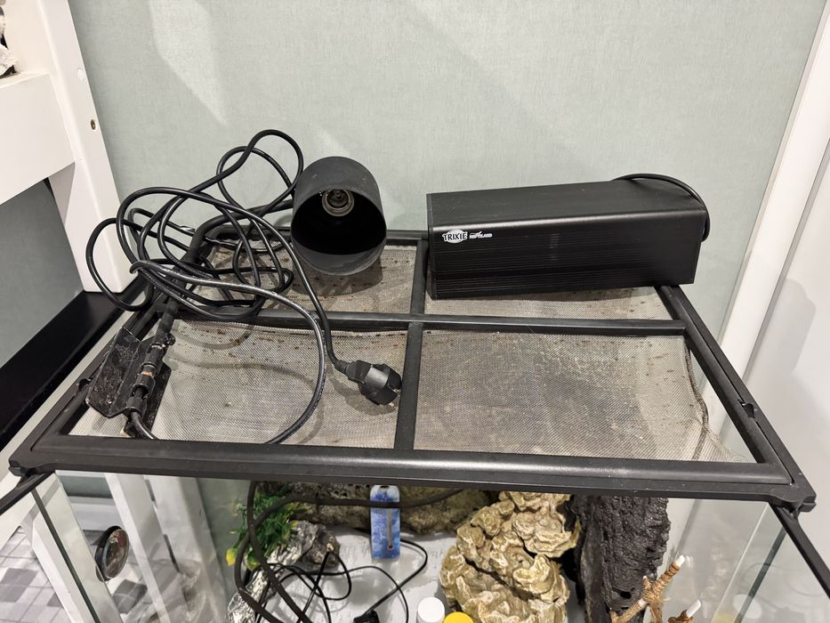 Тераріум 60*45*60 см. З усім необхідним, 11500 грн