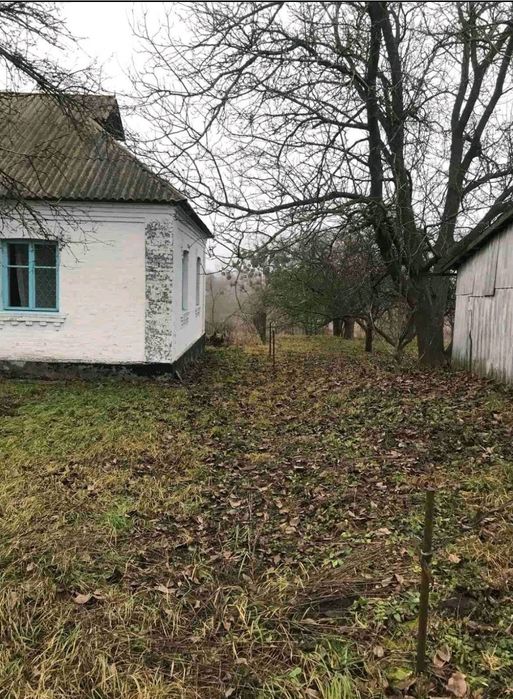 Продам дом в Киевской области