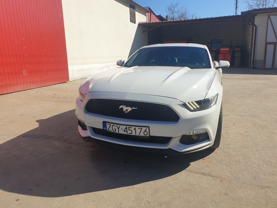Mustang 2,3 premium