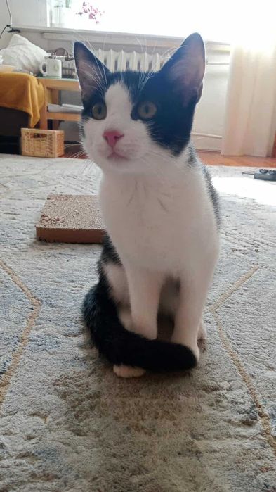 Maciek czeka na domek