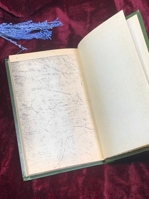 Книга «Шиацу: Японская терапия нажатием пальцами», О Намикоши самидат