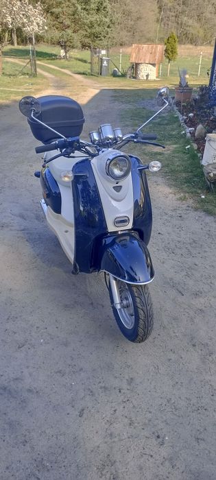 Zipp
