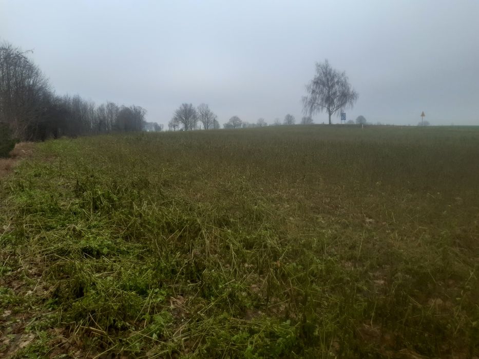 6 działek budowlanych Uzdowo