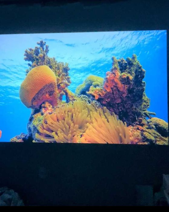 Проектор Full HD  (1920х1080)