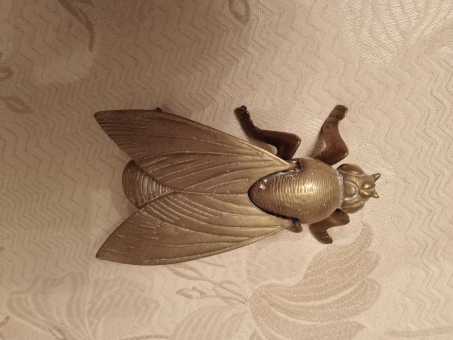 Mosca em Bronze que se abre
