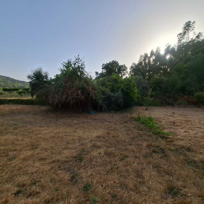 Vende-se terreno com 1250m2 e casa antiga em ruinas