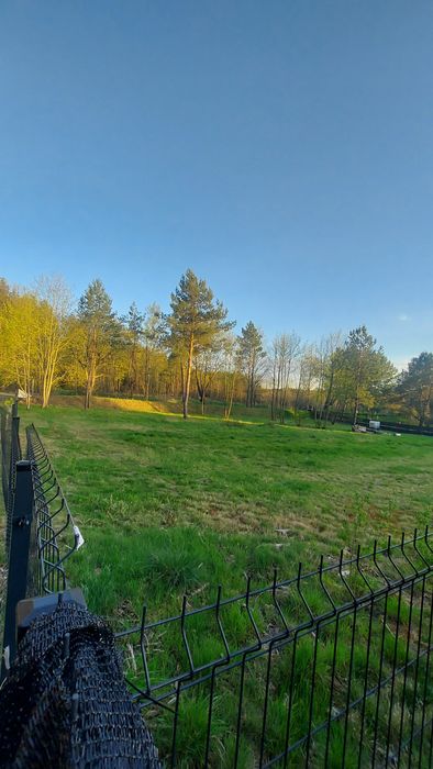 Działka budowlana 21 arów przy lesie