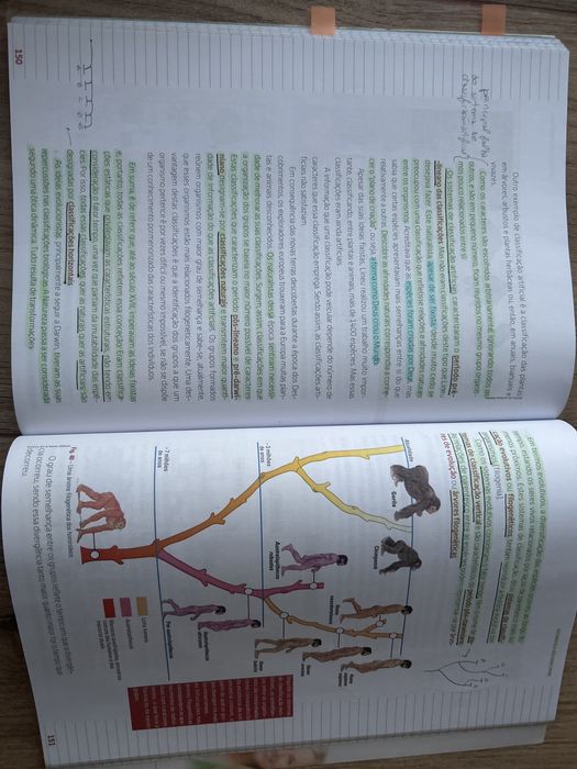 Manual Terra, Universo de Vida - Biologia e Geologia - 1ª Parte 11 ano