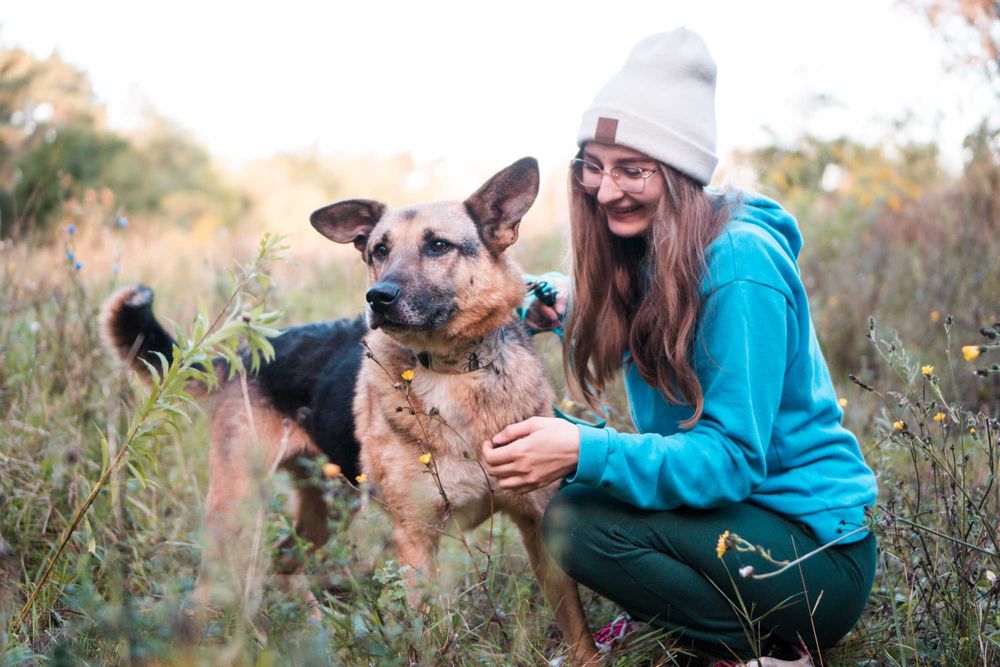 10 letni Potter szuka domu!