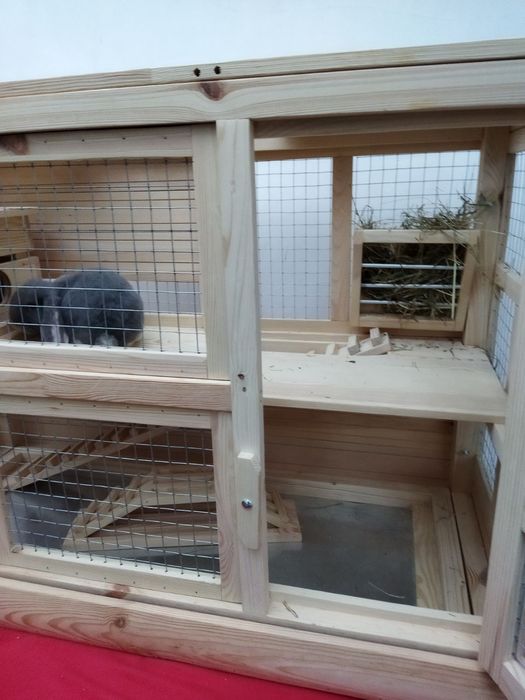 Клітка-будинок для морських свинок.