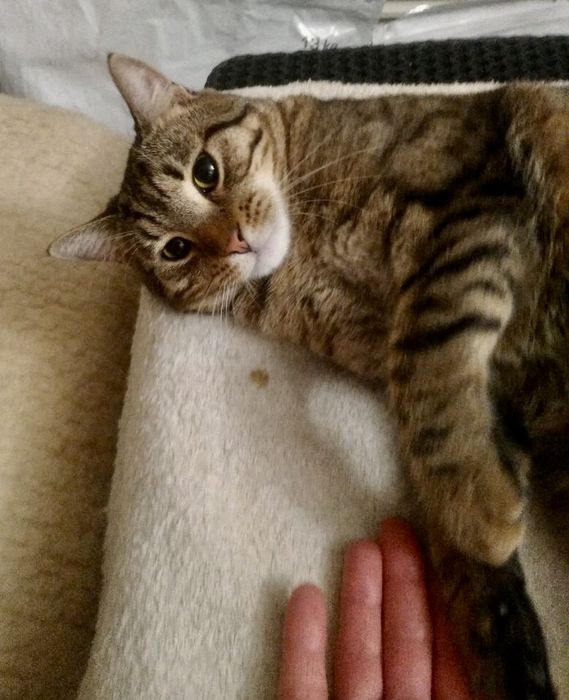 Забери мене додому!