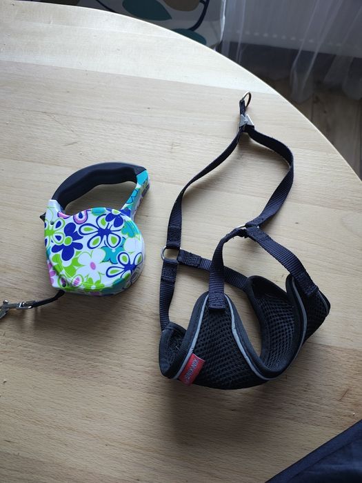 Шлейка та рулетка для невеликої собачки