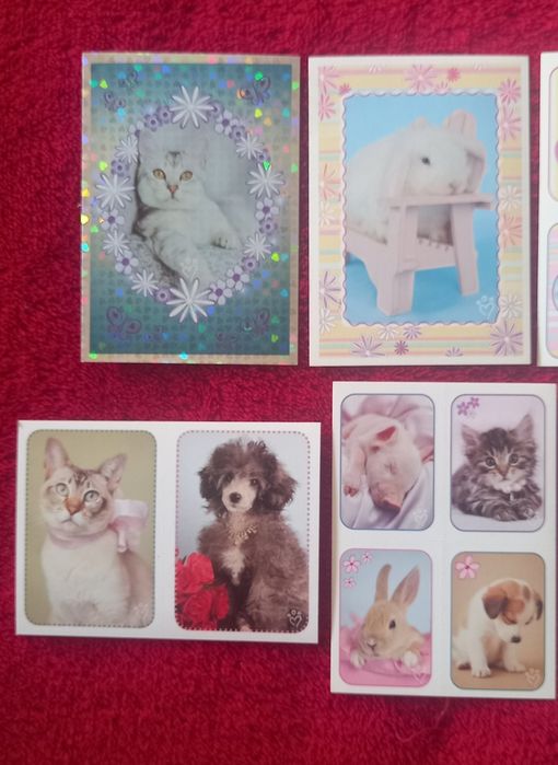 Conjunto de 6 Cromos Perfect Pets
