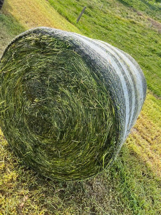 Sianokiszonka z traw sianych najlepsza jakość !!!