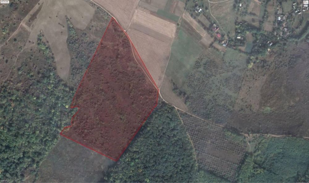 Продам 12 га у Молодії Валя Кузьміна