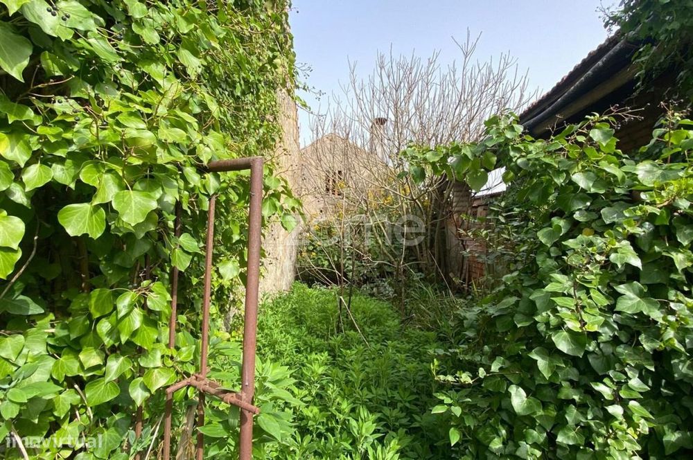 Moradia térrea em Murtede