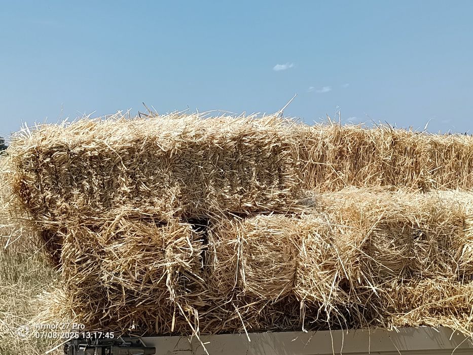 Продам ячмінну солому ячна 26-го року свіжа тюку 10-12,5 кг /