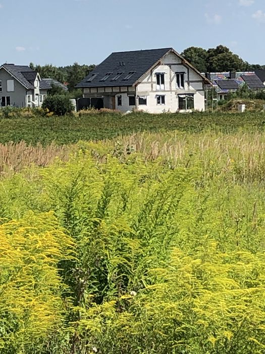 Działka budowlana Podańsko koło Goleniowa