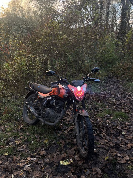 Продам Мустанг фості